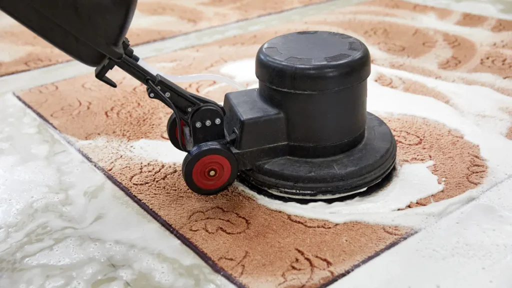 Deep Carpet Cleaning Service Bay Area